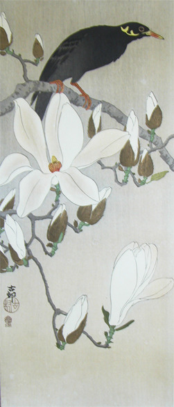 Koson: Myna on Magnolia Branch - Ronin Gallery