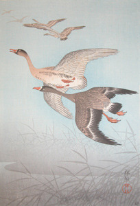 Shoson: Wild Geese - Ronin Gallery