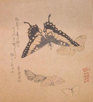 窪俊満: Butterflies - Ronin Gallery