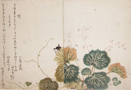 Kitagawa Utamaro: Earthworm and Cricket - Ronin Gallery