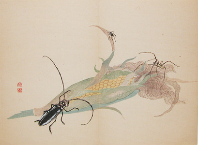 Shunkei: Beetle and Spider - Ronin Gallery