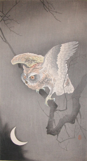 Koson: Scops Owl on Branch - Ronin Gallery