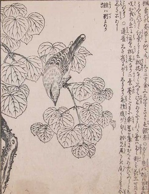 Morikuni: Bird on a Branch - Ronin Gallery