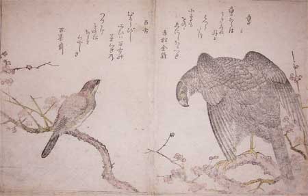 喜多川歌麿: Hawk and Shrike - Ronin Gallery