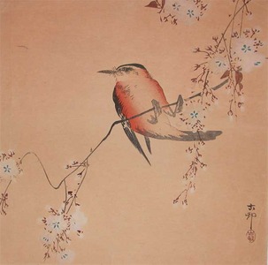 Koson: Small Songbird Hanging from Blossoming Cherry - Ronin Gallery