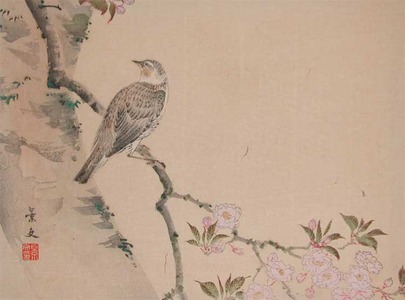 Matsumura Keibun: Bird on Flowering Cherry Branch - Ronin Gallery