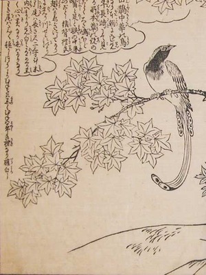 Morikuni: A Bird on the Maple Tree - Ronin Gallery