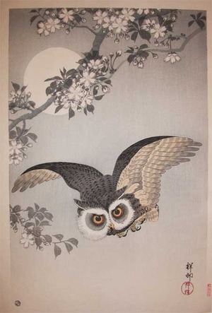 Shoson: Scops Owl Flying Under Cherry Blossoms - Ronin Gallery