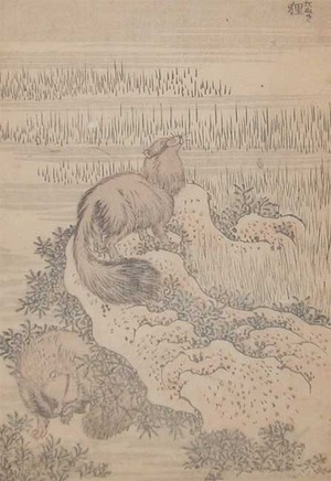 Katsushika Hokusai: Raccoons - Ronin Gallery