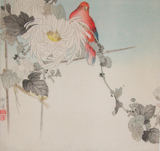 月岡耕漁: Chrysanthumums and Red Parrot - Ronin Gallery