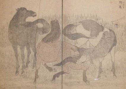 Katsushika Hokusai: Wild Horses - Ronin Gallery