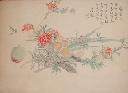 Japanese Print "Fruits and Flowers" by Unknown, 無款 (null)