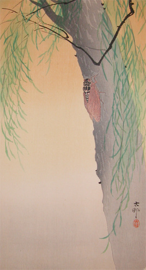 Koson: Cicada on Willow Tree - Ronin Gallery