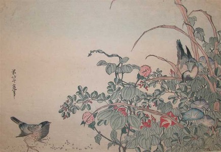 Katsushika Hokusai: Sparrows and Summer Flowers - Ronin Gallery