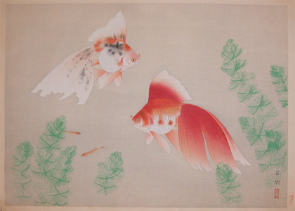 Kokyo: Goldfish - Ronin Gallery