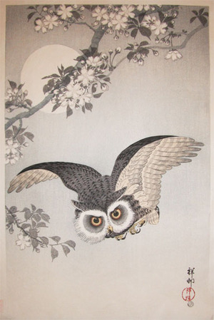 Shoson: Owl, Cherry Blossom and Moon - Ronin Gallery