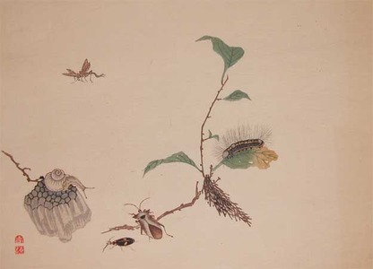 渡辺省亭: Group of Insects - Ronin Gallery