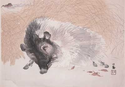 Seiho: Wild Boar - Ronin Gallery
