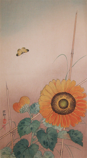 Koson: Small Butterfly and Sunflower - Ronin Gallery