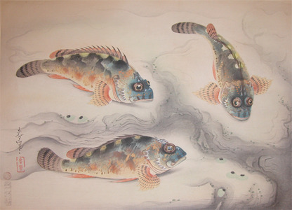 Bakufu: Scorpion Fish - Ronin Gallery