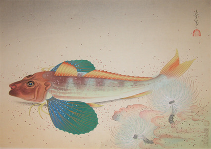 Bakufu: Sea Robin - Ronin Gallery