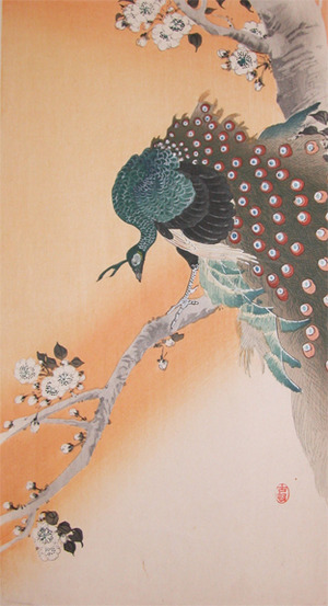 Koson: Green PeaFowl on Flowering Cherry - Ronin Gallery