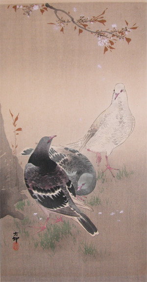 Koson: Pigeons and Cherry Blossoms - Ronin Gallery