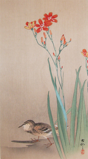 Koson: Pipit on a Riverbank - Ronin Gallery