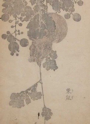 Katsushika Hokusai: Squirrel on Vine - Ronin Gallery
