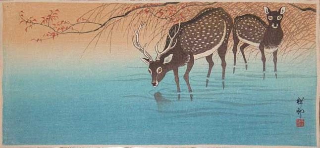 Shoson: Deer - Ronin Gallery