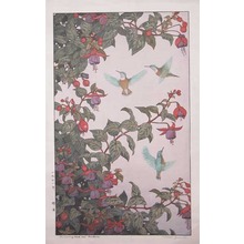 吉田遠志: Hummingbirds and Fuchsia - Ronin Gallery