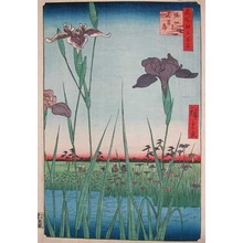 Utagawa Hiroshige: Iris Garden at Horikiri - Ronin Gallery