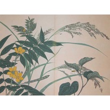 Sakai Hoitsu: Mint and Cassia - Ronin Gallery