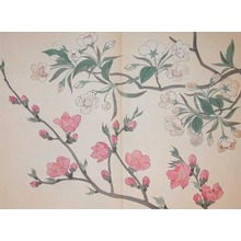 酒井抱一: Pear and Peach Blossoms - Ronin Gallery