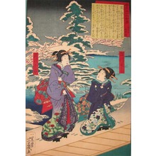 Ochiai Yoshiiku: Yoshi and Oichi from Fukagawa - Ronin Gallery