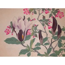 酒井抱一: Blossoming Cherry and Magnolia - Ronin Gallery