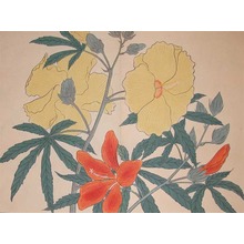 酒井抱一: Yellow and Red Hibiscus - Ronin Gallery
