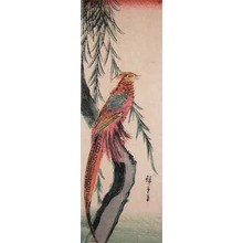 Japanese Print "Pheasant" by Suzuki Hiroshige (Hiroshige)