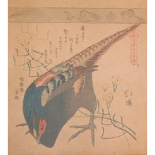 Totoya Hokkei: Pheasant - Ronin Gallery