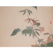 Watanabe Shotei: Praying Mantis and a fly - Ronin Gallery