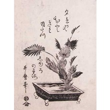 Kitagawa Utamaro: Palm Bonsai - Ronin Gallery