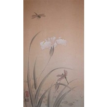 Kincho: Iris and Dragonflies - Ronin Gallery