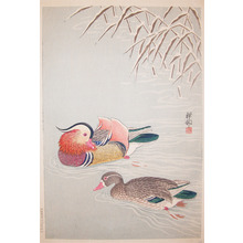 Shoson: Two Mandarin Ducks - Ronin Gallery