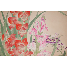 Konan: Gladiolus - Ronin Gallery