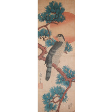 Utagawa Hiroshige: Hawk on Pine - Ronin Gallery