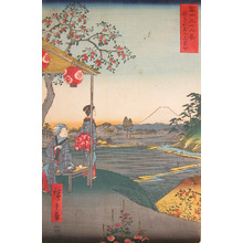Utagawa Hiroshige: Zoshigaya, Edo - Ronin Gallery