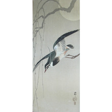 Koson: Lapwing, Willow and Full Moon - Ronin Gallery