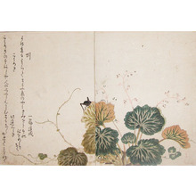Kitagawa Utamaro: Earthworm and Cricket - Ronin Gallery