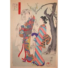 Toyohara Chikanobu: Plum Blossom Viewing - Ronin Gallery