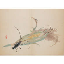 Shunkei: Beetle and Spider - Ronin Gallery